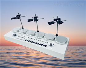 多头磁力加热搅拌器